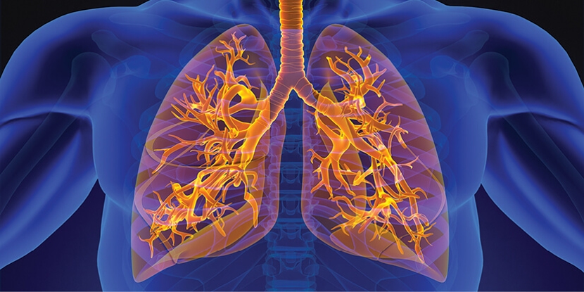 5th Annual The Anderson Family Cancer Institute Thoracic Oncology Symposium